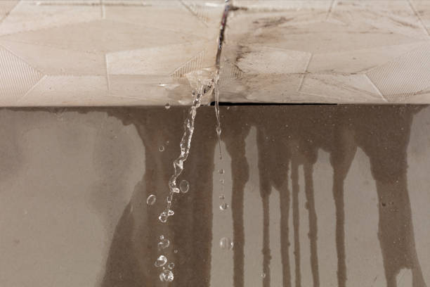 Professional Structural Drying technician working in Navarre, OH